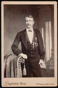 Retrato de J. Watts John Watts De Peyster 1821-1907, antes de 1896 de Hagelstein Bros