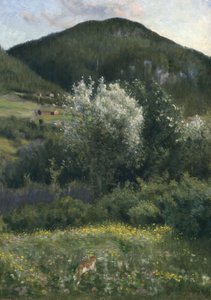 Cereza de pájaro