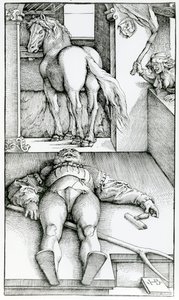 Novio durmiente y hechicera