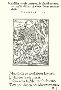 La maldición sobre la Tierra y el Hombre