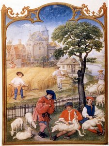 Trabajo de campo, esquilar ovejas y campesinos cosechando trigo. Miniatura atribuida a Memling. Placa extraída del Breviario Grimani del siglo XV. Biblioteca Marciana, Venecia de Hans (attr.to) Memling