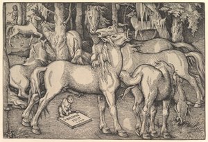 Grupo de siete caballos, 1534 de Hans Baldung