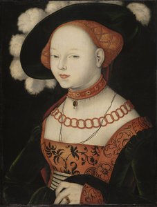 Alemán: Bildnis einer Dame Portrait of a Lady de Hans Baldung Grien
