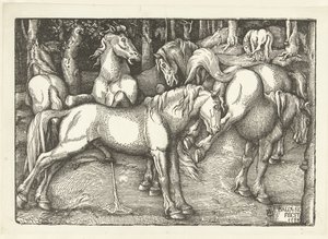 Grupo de seis caballos de combate