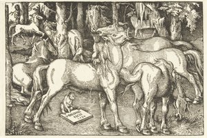 Grupo de siete caballos y un mono de Hans Baldung Grien