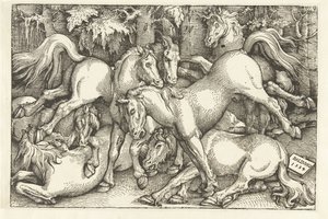 Grupo de siete caballos de combate de Hans Baldung Grien