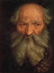 Cabeza de un Hombre Viejo