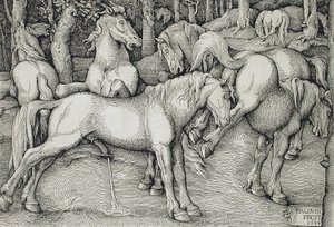  de Hans Baldung Grien