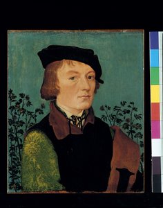 Retrato de un hombre frente a un seto de rosas (óleo sobre madera) de Hans Baldung Grien