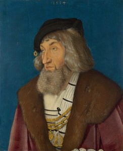 Retrato de un hombre de Hans Baldung Grien