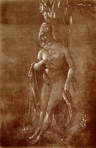 Bruja