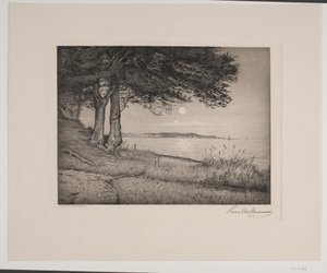 Fiordo de Vejle