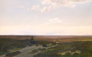 Vista de los páramos de Pårup cerca de Silkeborg, Jutlandia de Hans Friis
