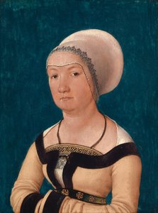 Retrato de la esposa de Jörg Fischer a los 34 años de Hans Holbein the Elder