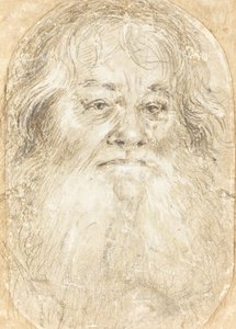 Estudio de un Hombre con Barba (verso) de Hans Holbein the Elder