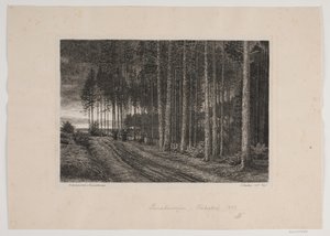 Día de lluvia en el bosque de abetos de Hans Julius Fæster
