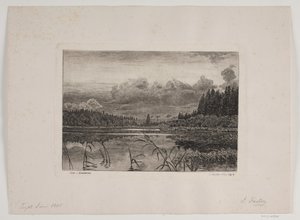 El lago en el bosque de abetos de Hans Julius Fæster