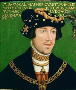 Retrato de Luis II, rey de Hungría (1506-1526)