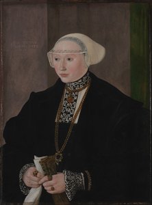 Retrato de Maria Kitscher, Frau von Freyberg de Hans Mielich