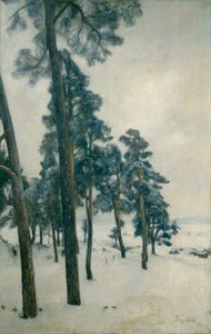 Desde el lago Bogstad de Hans Olaf Heyerdahl