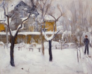 paisaje de invierno