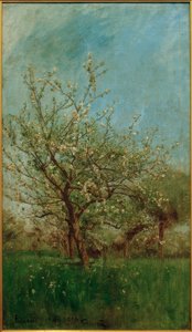 Árboles en flor Uerdenbach de Hans Peter Feddersen der Jüngere