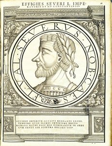 Seuerus D, ilustración de 