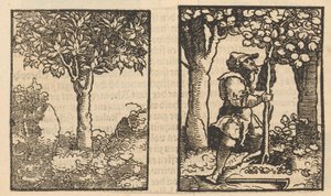Árbol y representación de un recolector de frutas entre árboles de Hans Schäufelein (possibly)