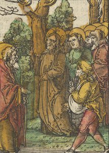 La parábola del sembrador y la cizaña, de Das Plenarium