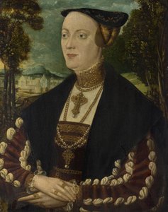 Retrato de una dama noble de Hans Schöpfer der Ältere