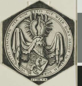 Escudo de armas con un león rampante
