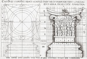 Sección transversal del capitel corintio y dibujo proporcional