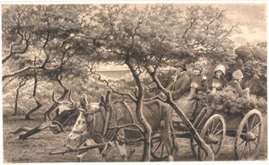 Un carro de bueyes. A través del matorral. Hammerum Herred