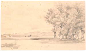 Paisaje con campo arado; a la derecha, árboles altos de Hans Smidth