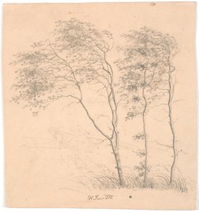 Tres árboles