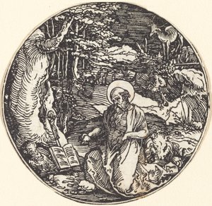 San Jerónimo en Penitencia de Hans Springinklee
