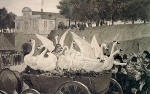 Cisnes Salvajes, ilustración de Hans Tegner (1853-1932) para el cuento de hadas de Hans Christian Andersen (1805-1875) de Hans Tegner