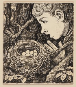 Dibujo para la cartilla: nido de Hans Thoma