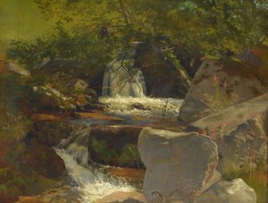 Arroyo de la Selva Negra de Hans Thoma