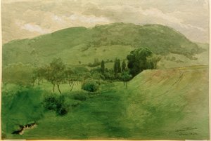 Paisaje de la Selva Negra