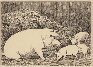 Ilustración del abecedario: cerdo de Hans Thoma