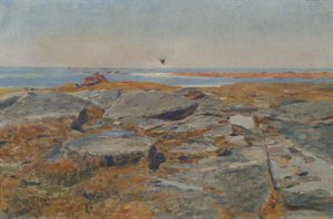 Estudios aus Concarneau de Hans Tichy