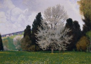 Primavera en los bosques de Viena