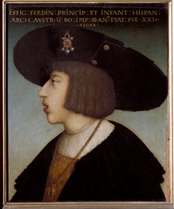 Retrato de Fernando I, Emperador del Sacro Imperio Romano y Rey de Bohemia y Hungría, a los 21 años (llevando el collar de la Orden del Toisón de Oro) de Hans or Johan Maler