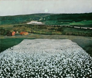 Pradera de flores en el norte