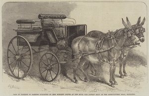 Par de burros en arnés exhibidos por la Srta. Burdett Coutts en la Exposición de Mulas y Burros en el Agricultural Hall, Islington de Harden Sidney Melville