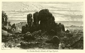 La isla de Sir Charles Hardy, frente al Cabo Upstart
