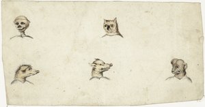 Cabezas de cuatro animales y un esqueleto