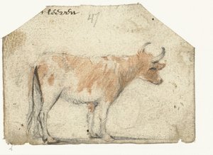Vaca, de lado de Harmen ter Borch
