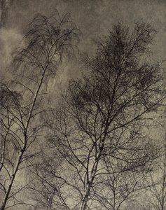 su encanto está escrito A lo largo de un cielo líquido, Robert Bridges (foto b/n)